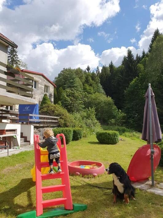 Apartmán Waldhaus Jáchymov Exteriér fotografie