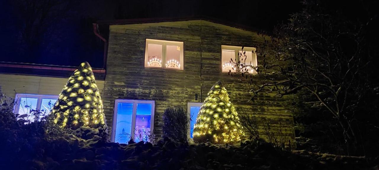 Apartmán Waldhaus Jáchymov Exteriér fotografie
