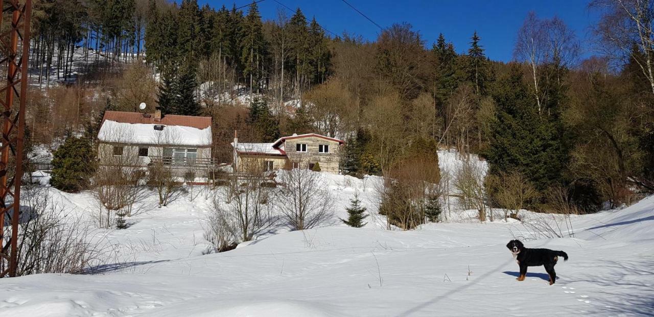 Apartmán Waldhaus Jáchymov Exteriér fotografie